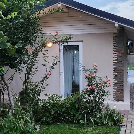 Morii Pool * Bukareszt