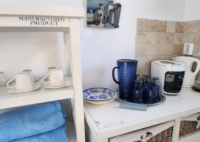 Morii Pool Vilă Bucureşti