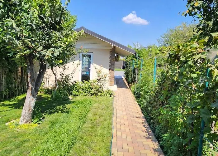 Morii Pool Bucureşti