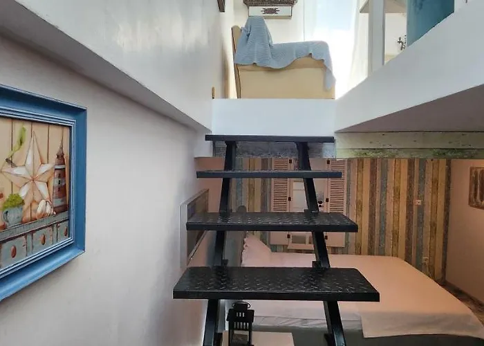 Morii Pool Vilă Bucureşti