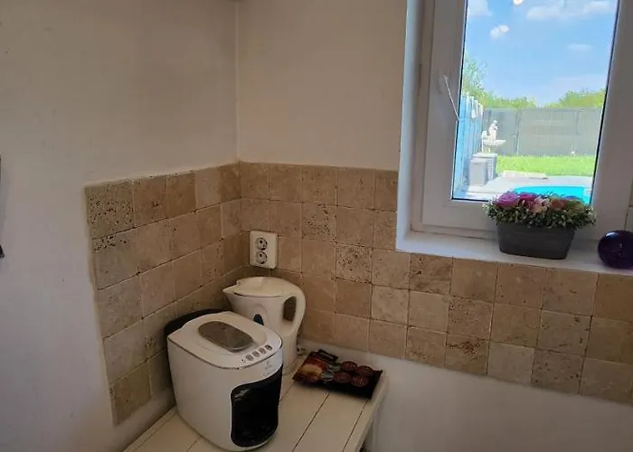 Vilă Morii Pool Bucureşti