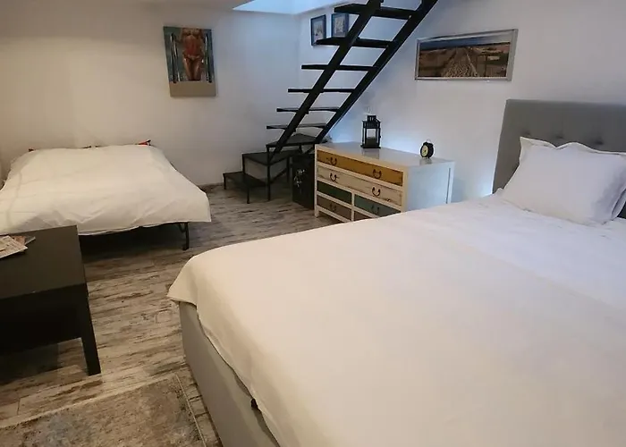 Morii Pool Vilă Bucureşti