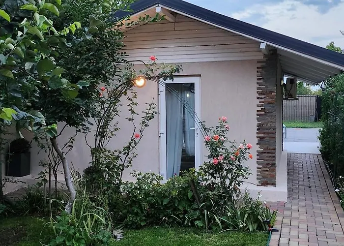 Morii Pool * Bucureşti