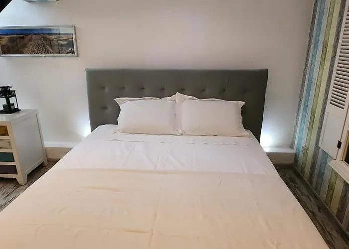 Morii Pool Vilă Bucureşti