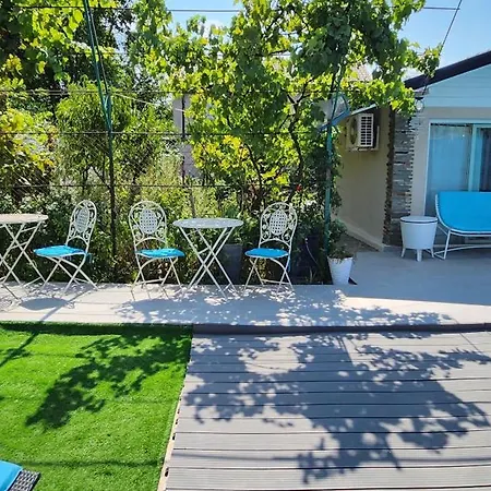 Villa Morii Pool Bucarest