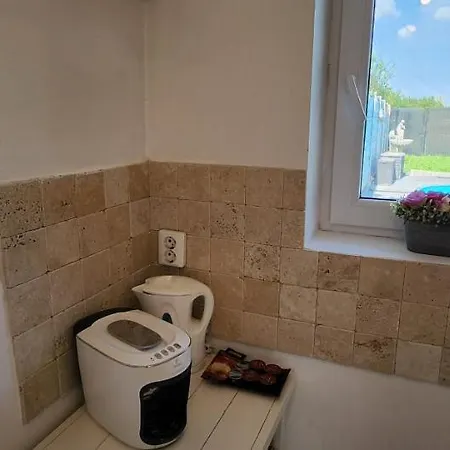 빌라 Morii Pool 부쿠레슈티